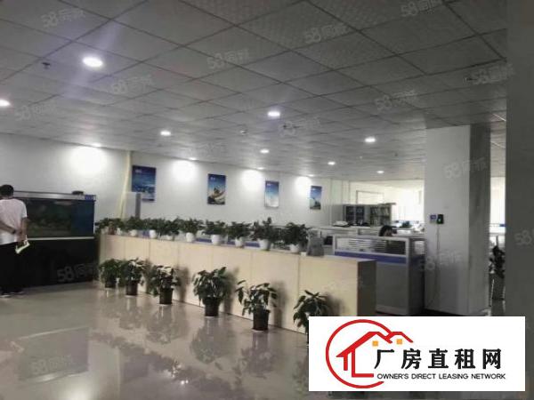  豪华装修厂房清溪新出楼上2188平方带装修原房东厂房