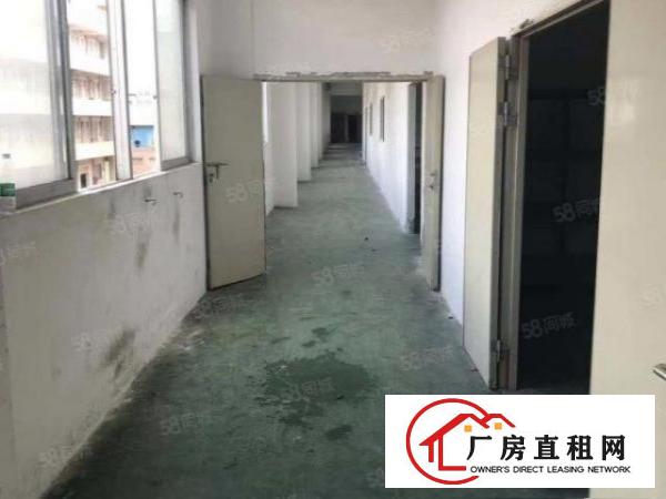  清溪谢坑大小面积出租一楼二楼，现成办公室有地坪漆