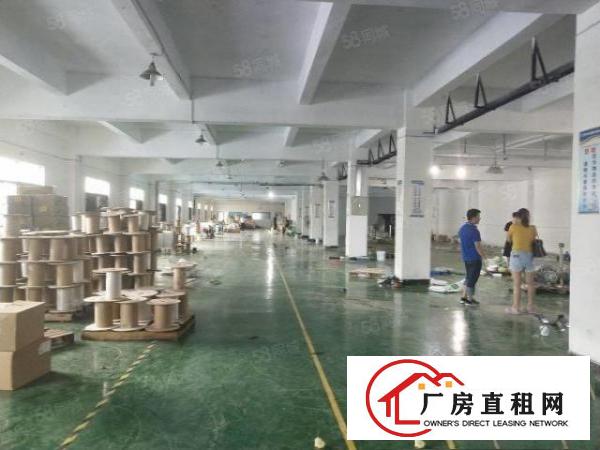  清溪原房东2楼厂房出租带装修现成办公室1208平方