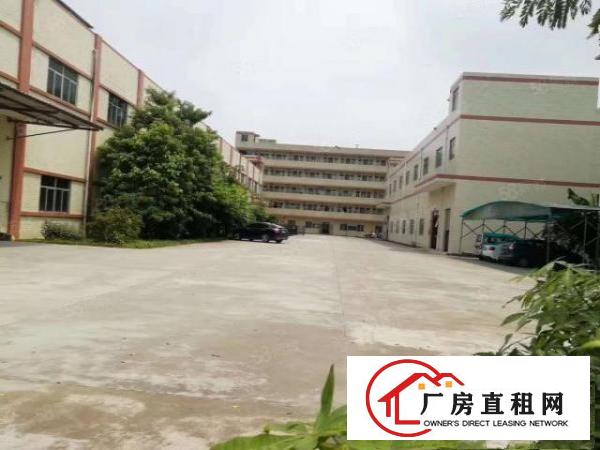  清溪原房东2楼厂房出租带装修现成办公室1208平方