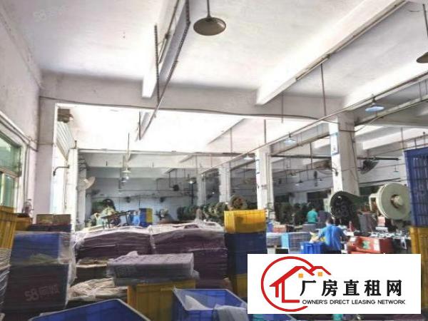  清溪原房东3800平方小独院带装修厂房出租。
