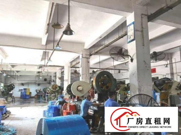  清溪原房东3800平方小独院带装修厂房出租。