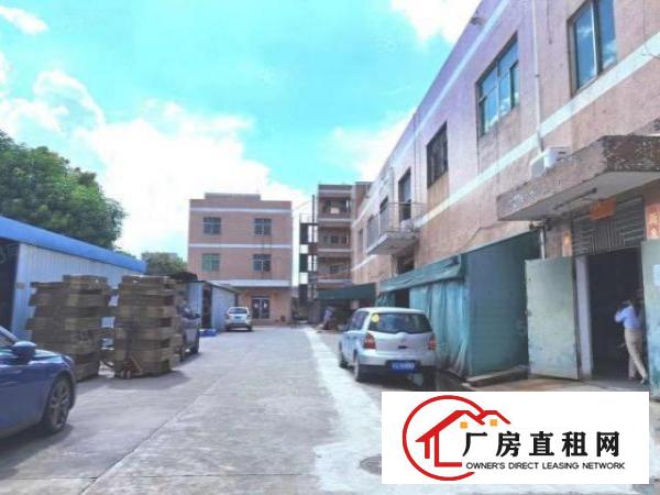  清溪原房东3800平方小独院带装修厂房出租。