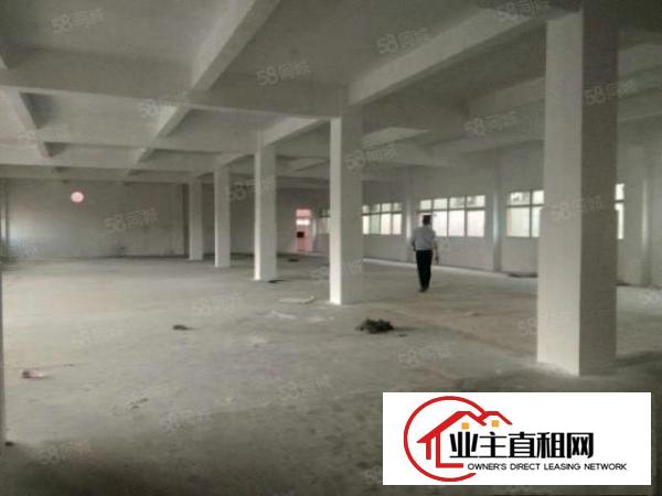  清溪靠近塘厦原房东独院厂房12000平方米无公摊形象好