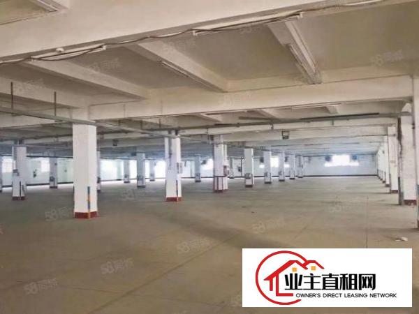  清溪靠近塘厦原房东独院厂房12000平方米无公摊形象好