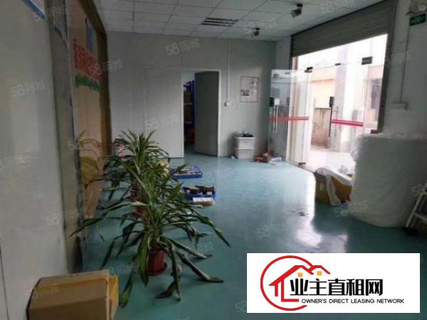  清溪靠近塘厦原房东独院厂房12000平方米无公摊形象好