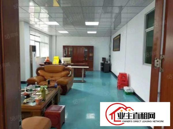  清溪靠近塘厦原房东独院厂房12000平方米无公摊形象好