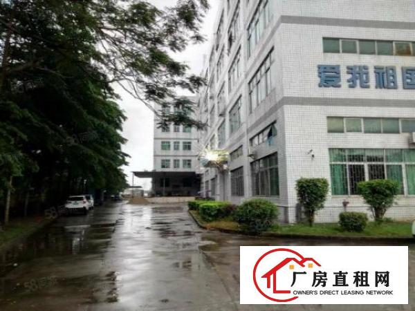  清溪镇浮岗原房东带装修二楼680平方招租水电齐全