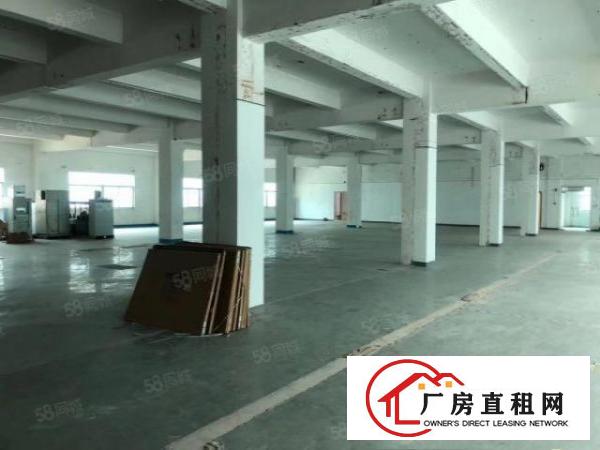  清溪大利新出2楼1350平带装修厂房出租拎包生产