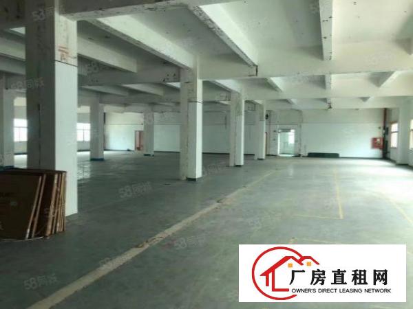  清溪大利新出2楼1350平带装修厂房出租拎包生产