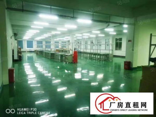  清溪荔横大主干道边上空出都上八百八十平方精装修厂房带办公室