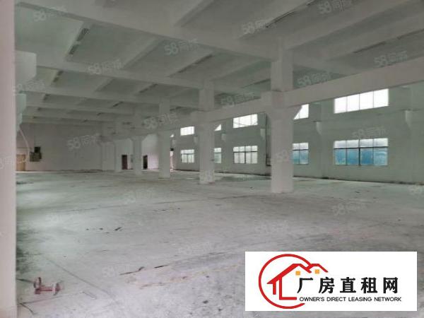  清溪大利新出原房东一楼1100平方带装修低价急租