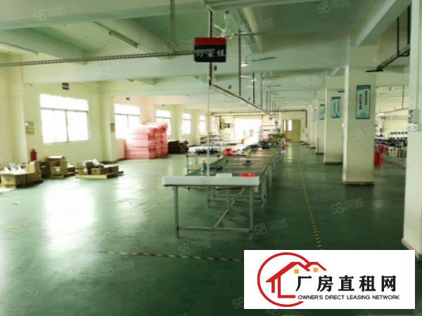  清溪土桥村原房东独院5500平出租形象好可办环评（可分租）