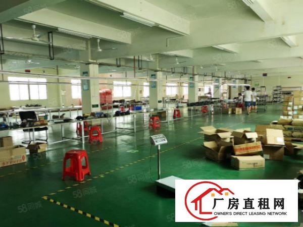  清溪土桥村原房东独院5500平出租形象好可办环评（可分租）