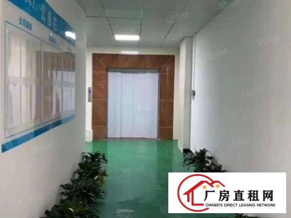  清溪楼上可做电池厂房出租1800平方带装修（可分租）