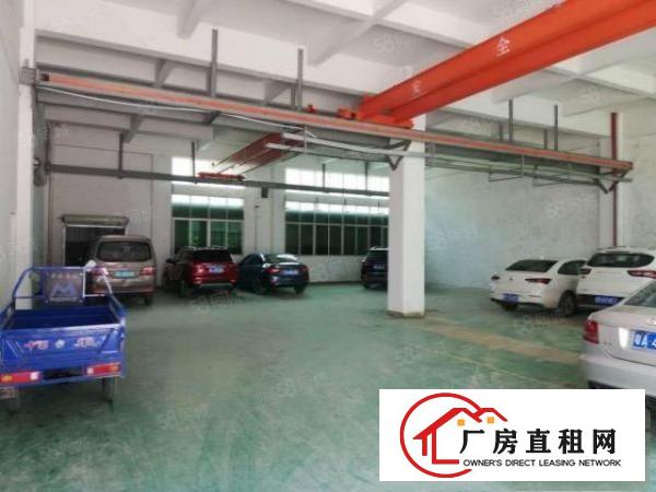  清溪新出原房东无公摊一楼200平方精装修厂房打包价2888