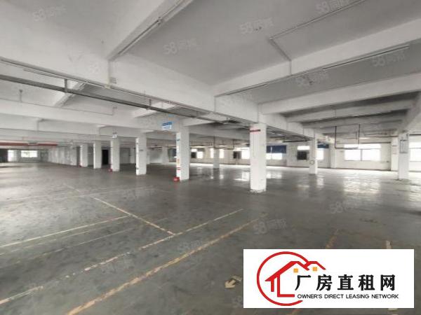 清溪浮岗原房东红本二楼厂房1500平招租可分租现装修