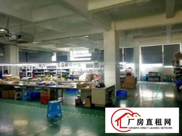  清溪三中新出原房东可以办环评楼上850平带装修空地大