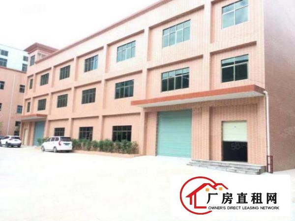  清溪三中新出原房东可以办环评楼上850平带装修空地大