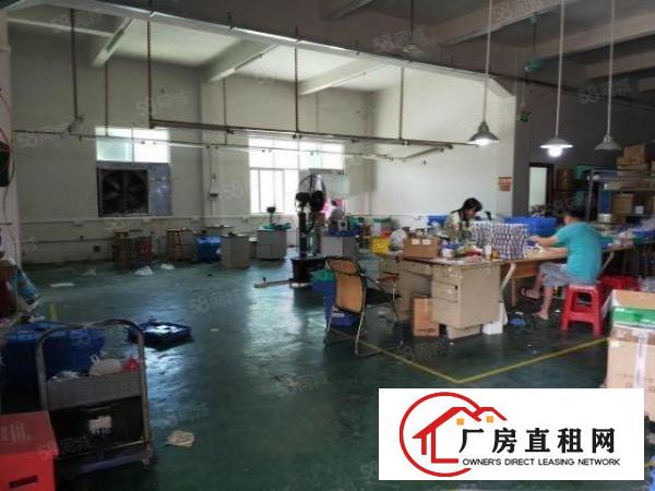  清溪镇中心新出一楼730平方，水电齐全，现成办公室洗手间