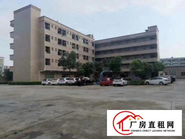  原房东疫情支持企业清溪新出一楼2200平方厂房无公摊直租