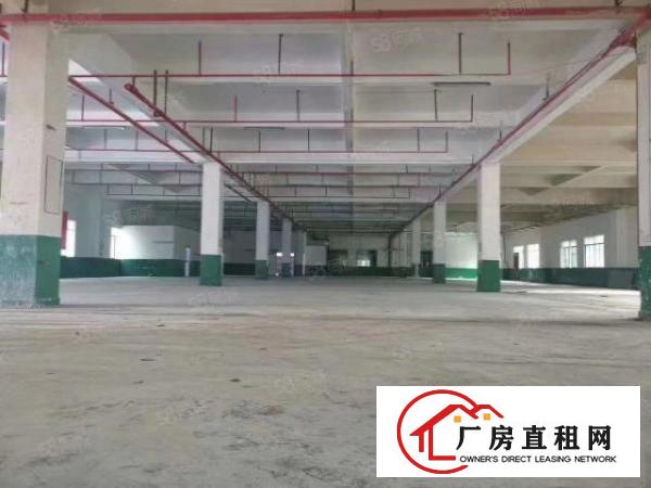  原房东疫情支持企业清溪新出一楼2200平方厂房无公摊直租