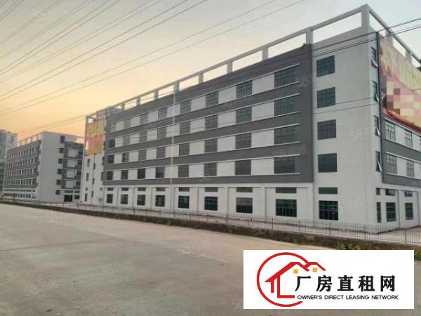  清溪国有证厂房出租1000起租