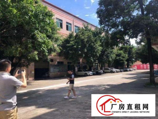 清溪新出原房东标准厂房10元起租
