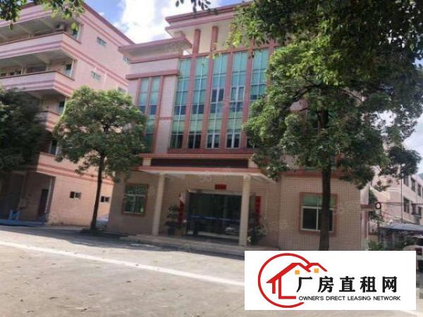  清溪新出原房东标准厂房10元起租