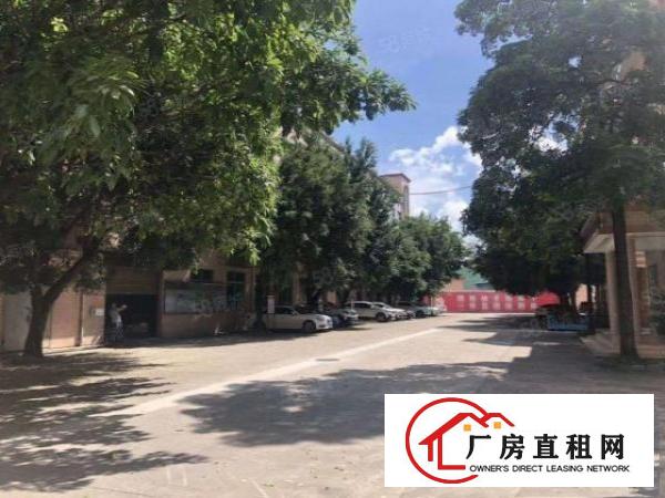  清溪新出原房东标准厂房10元起租