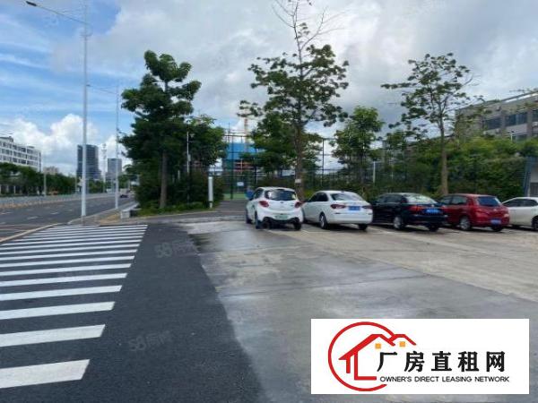  清溪金顺隆工业园2万平厂房出租精装修一楼仓房300平起分租