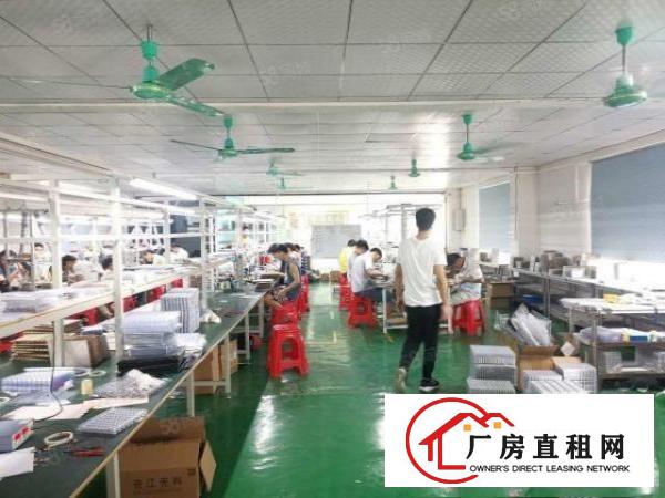  8000打包价，清溪镇浮岗新出豪华装修楼上650平厂房出租