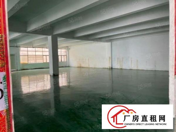 清溪镇新出标准厂房一楼730平方出租，带现成精装修。