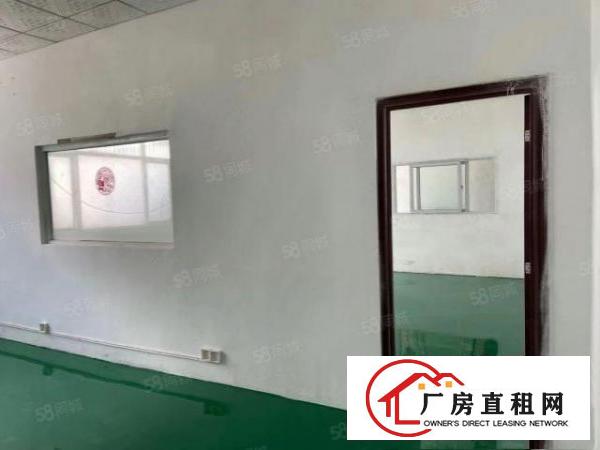  清溪镇新出标准厂房一楼730平方出租，带现成精装修。