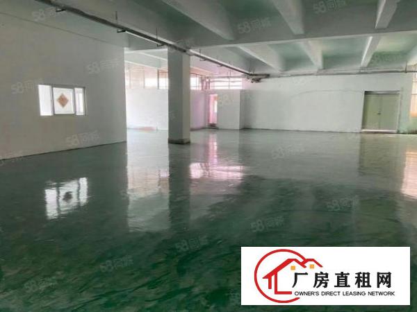  清溪镇新出标准厂房一楼730平方出租，带现成精装修。