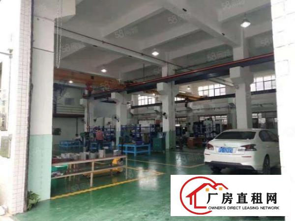  特价现成环评可做污染清溪新出原房东无公摊3600平方厂房