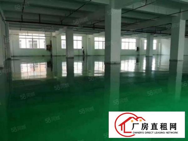  特价现成环评可做污染清溪新出原房东无公摊3600平方厂房
