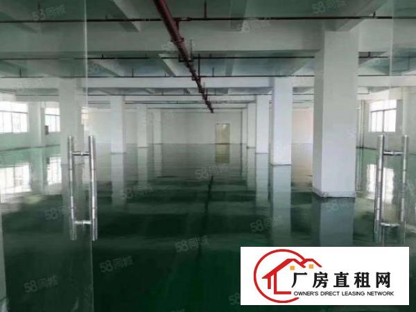  特价现成环评可做污染清溪新出原房东无公摊3600平方厂房