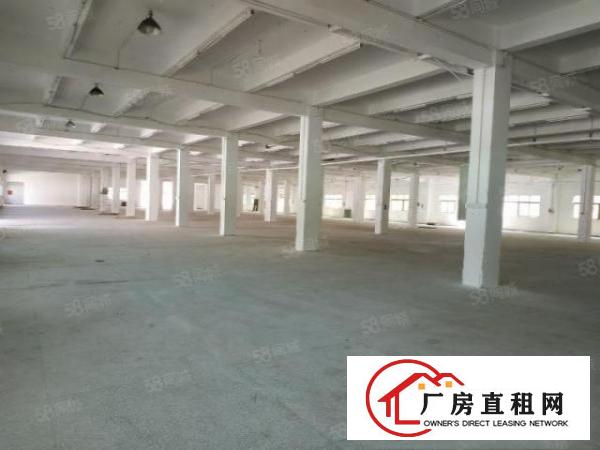  清溪北环路旁一楼标准厂房900平方带装修招租400平起分租