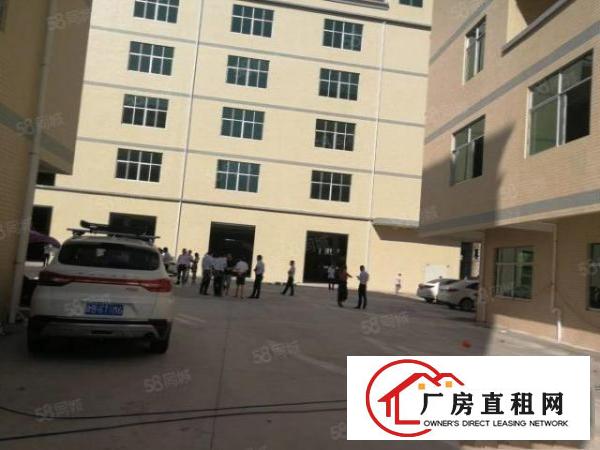  清溪镇全新厂房2000平14元出租包隔墙装修500平方起租