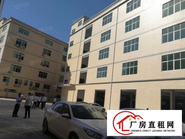  清溪镇全新厂房2000平14元出租包隔墙装修500平方起租