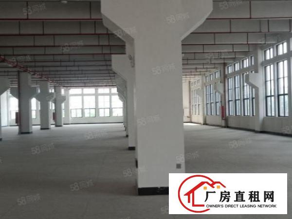  清溪原房东超大空地红本厂房