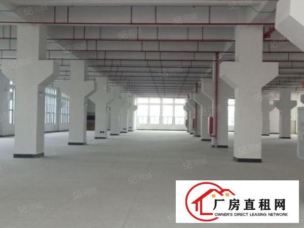  清溪原房东超大空地红本厂房