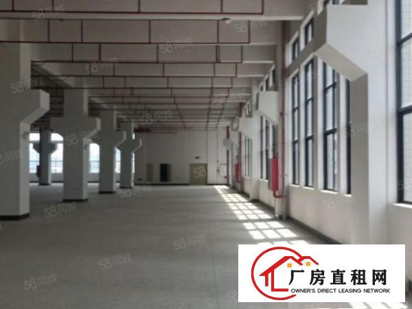  清溪原房东超大空地红本厂房