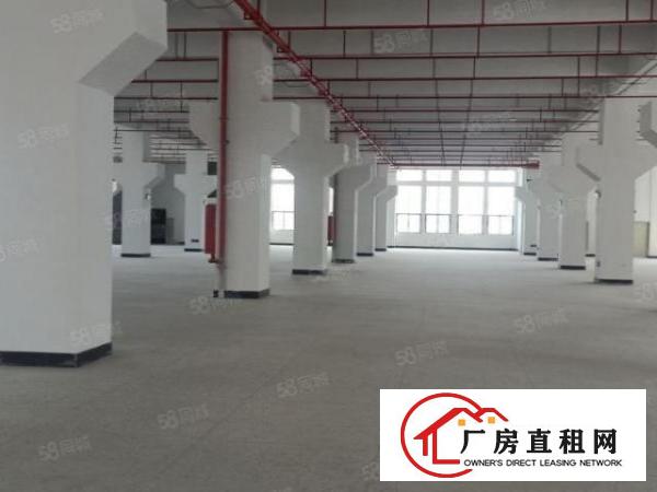  清溪原房东超大空地红本厂房