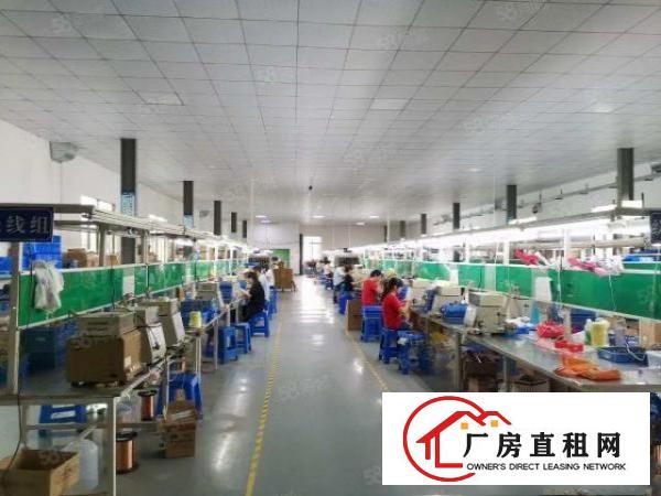  清溪大利楼上800平米带现成办公室装修