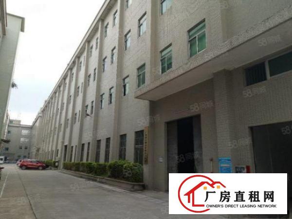  清溪主干道边，新出原房东一楼420平带现成办公室滴水6.5米