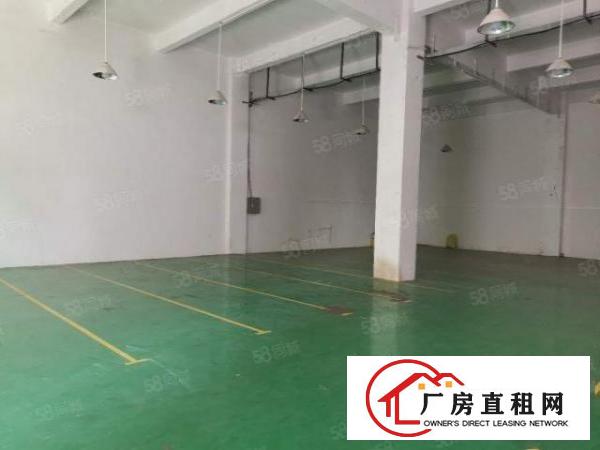  清溪主干道边，新出原房东一楼420平带现成办公室滴水6.5米