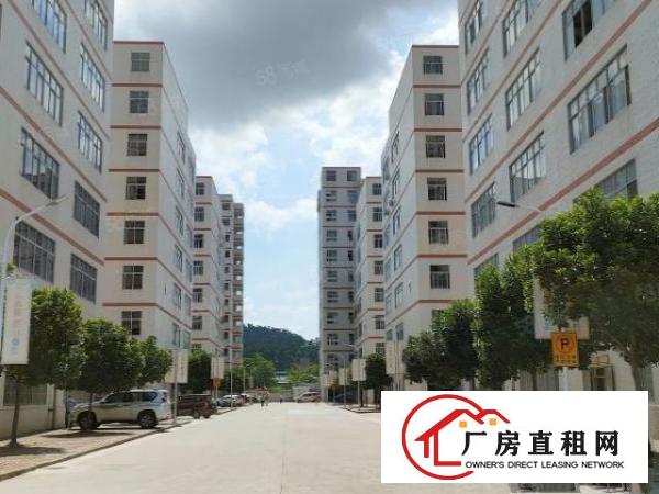  清溪三中工业区一二楼总3600平带精装修办公室超大空地可分租