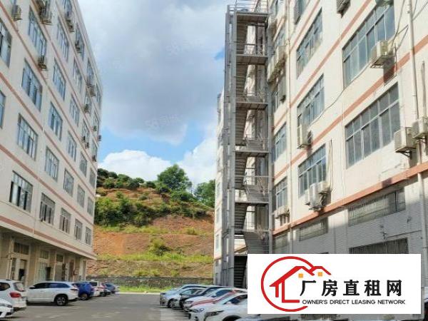  清溪三中工业区一二楼总3600平带精装修办公室超大空地可分租
